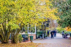 Jephson Gardens in the autumn of 2020. Copyright Leamington Courier.