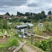 Odibourne Allotments.
