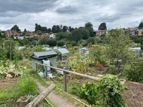 Odibourne Allotments.