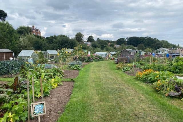 Odibourne Allotments.