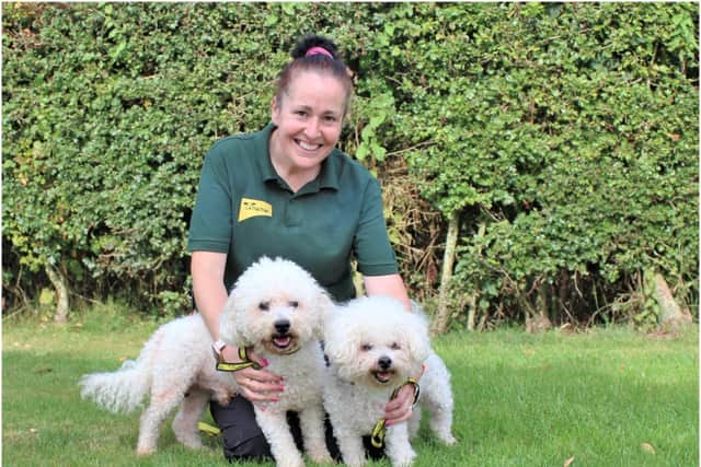 Alfie and Boris pictured with canine carer Jules Regan-Davies. Photo supplied