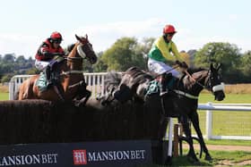 Vision Des Flos leads Pink Eyed Pedro over the final fence in the Mansionbet's Faller Insurance Handicap Chase at Warwick Races last week (Picture by David Pratt)