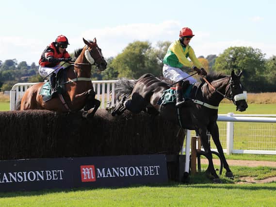 Vision Des Flos leads Pink Eyed Pedro over the final fence in the Mansionbet's Faller Insurance Handicap Chase at Warwick Races last week (Picture by David Pratt)