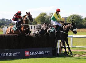Vision Des Flos leads Pink Eyed Pedro over the final fence in the Mansionbet's Faller Insurance Handicap Chase at Warwick Races last week (Picture by David Pratt)