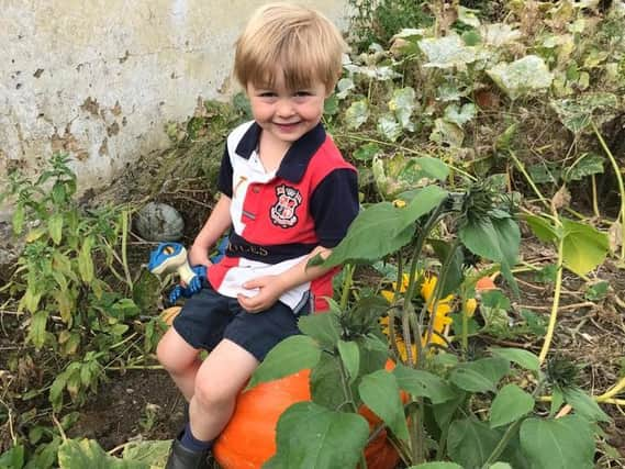 Former winner Angus Fyfe prepares his pumpkin patch.