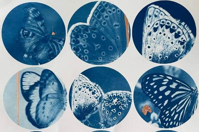 If you like these images of the natural world, check out the thought-provoking Anne Guest exhibition at Nuneaton Museum and Art Gallery to find out how they were created