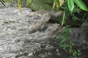 Concern has been raised nationally that while the law allows sewage outflows under certain conditions, these incidents have been increasing and monitoring has been variable.