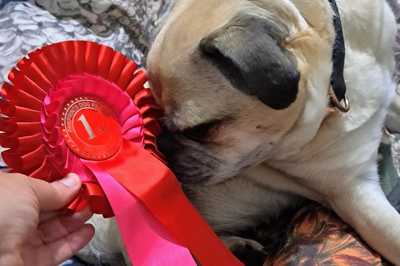 One of Louise Brady's winners.