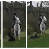 Still from the WMAS video, showing the hunt protester being hit by a horse rider.