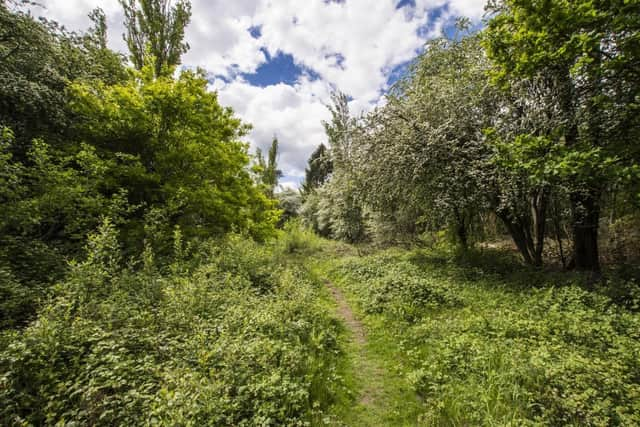 Two nature reserves near Southam have gone back under management of Warwickshire County Council after being looked after by the Warwickshire Wildlife Trust for more than 40 years. Photo shows Ufton Fields Nature Reserve, courtesy of Steven Cheshire | Warwickshire Wildlife Trust