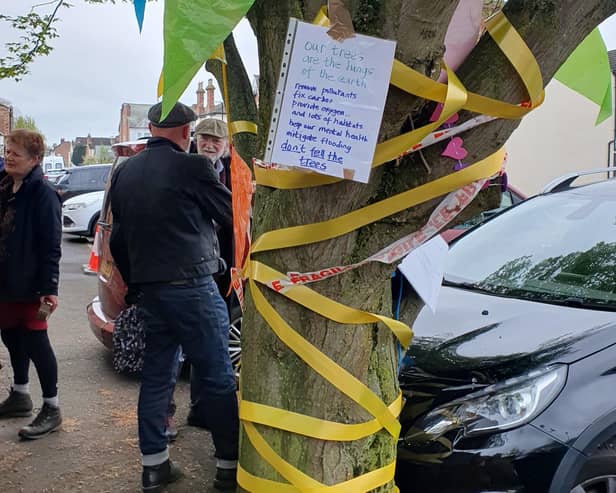 The hornbeam tree with yellow ribbons around it. Harry Potter star David Bradley is pictured in the background. Picture supplied.