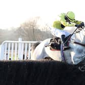 My Silver Lining jumps the last in the Wigley Group Classic Handicap Chase.