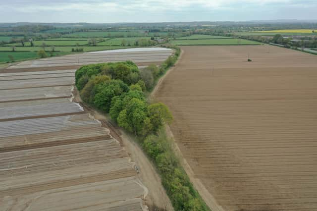 Wasperton Fields near Barford where Smiths Concrete wants to open a sand and gravel quarry. Picture courtesy of Smiths Concrete.