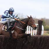 Thomas Darby clears the last in the John Sumner Memorial Veterans' Handicap Chase