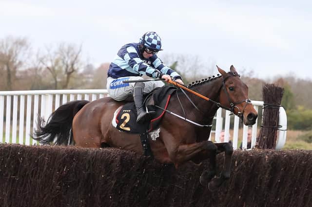 Thomas Darby clears the last in the John Sumner Memorial Veterans' Handicap Chase