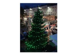 The Leamington Tree of Light.