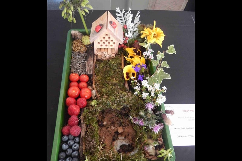 The Miniature Garden ages four to seven year first prize winner. Photo supplied
