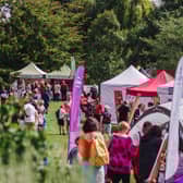 A glimpse of last year’s Art in the Park festival. Photo by Lewis Copson.