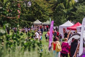 A glimpse of last year’s Art in the Park festival. Photo by Lewis Copson.