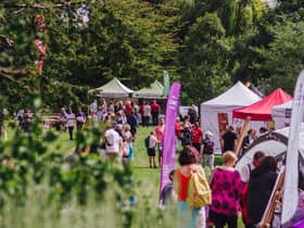 A glimpse of last year’s Art in the Park festival. Photo by Lewis Copson.