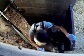 A worker at a halal abattoir beating and kicking sheep through a gate (Joey Carbstrong SWNS)