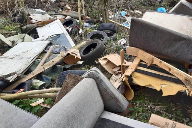 Some of rubbish dumped near the old Lias line