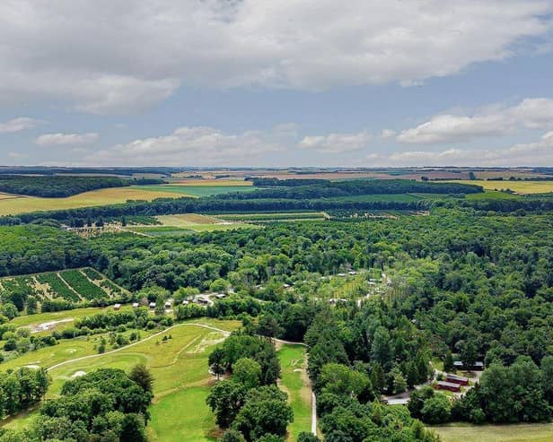 Landal Kenwick Woods is set in abundant greenery as far as the eye can see.