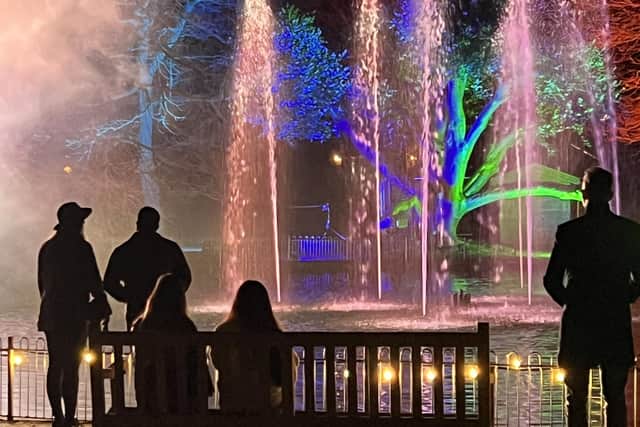 A photo from the Spotlight Festival at Jephson Gardens in February. Credit: Stephanie Kerr.