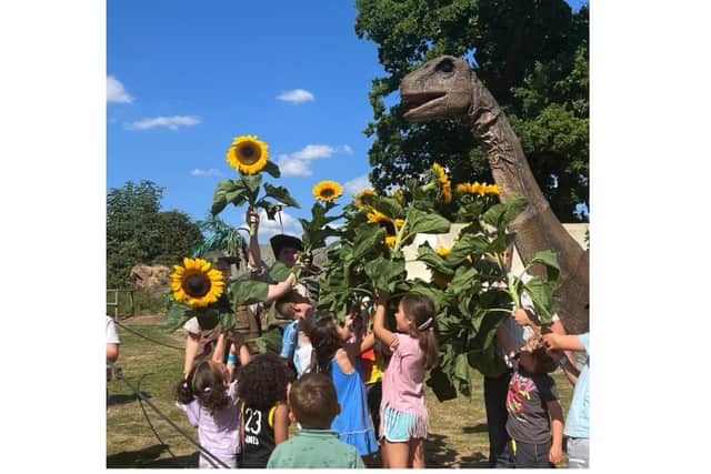 Children can now pick sunflowers among the dinosaurs at Hatton Adventure World. Photo supplied