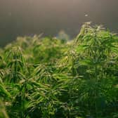 Police are cracking down on drug dealers.