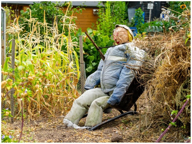 One of the many scarecrows created ahead of the open day. Photo by Mike Baker