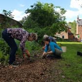 Work taking place at the All Saints' Parish church churchyard. Picture supplied.