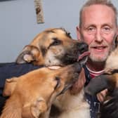 Steve Clarke with some of the eight German Shepherd dogs he owns. Picture by Mike Baker.