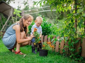 Green-fingered people burn a lot of calories taking care of their garden. For example, planting fruit and vegetable seeds or plants for 20 minutes burns 105 calories