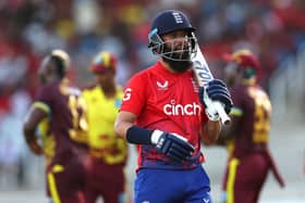 Moeen Ali is excited by the new-look Birmingham Bears' T20 attack.