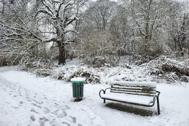 Snow on Priory Park