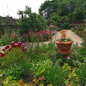Guy's Cliffe Walled Garden will be open for the National Garden Scheme charity open day later this month. Photo by Guy's Cliffe Walled Garden. Photo supplied