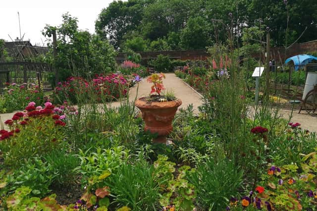 Guy's Cliffe Walled Garden will be open for the National Garden Scheme charity open day later this month. Photo by Guy's Cliffe Walled Garden. Photo supplied