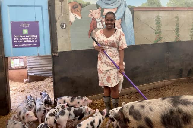 Sibby, who as a consolation prize, got to much out the pigs at Hatton Adventure World after losing in the competition to win the last ticket to Radio 1's Big Weekend in Coventry. Photo supplied