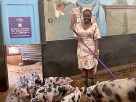 Sibby, who as a consolation prize, got to much out the pigs at Hatton Adventure World after losing in the competition to win the last ticket to Radio 1's Big Weekend in Coventry. Photo supplied