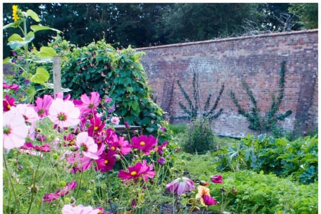The Guy's Cliffe Walled Garden team will be hosting a photography event this weekend. Photo by Guy's Cliffe Walled Garden