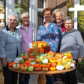WI members with some of the hand knitted vegetables which will be displayed at Charlecote Park this autumn.