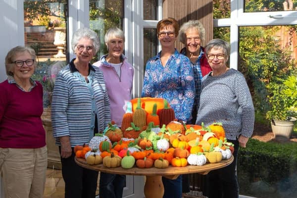 WI members with some of the hand knitted vegetables which will be displayed at Charlecote Park this autumn.