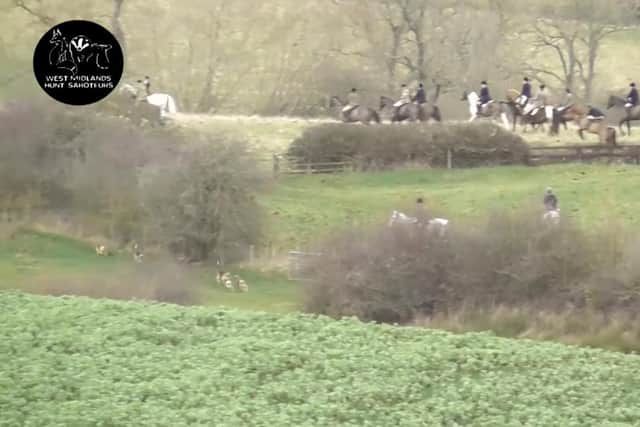The Boxing Day hunt filmed by West Midlands Hunt Saboteurs near Shenington
