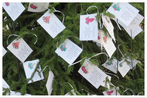 The popular Lights of Love will shine brightly this year again on the Christmas tree in Warwick.