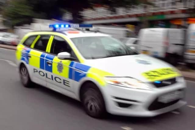 The OPU Warwickshire branch of Warwickshire Police found the cat in the road. Photo National World