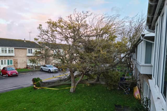 Heavy winds from Storm Claudio have upended a tree causing it to fall down on flats on a Bognor Road.Pic by Neil Cooper