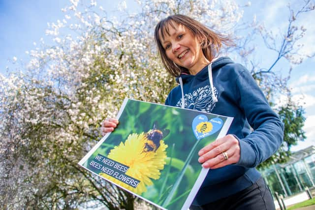 Jo Harper, Chair of Bee Friendly Leamington, in Jephson Gardens. Photo by Mike Baker