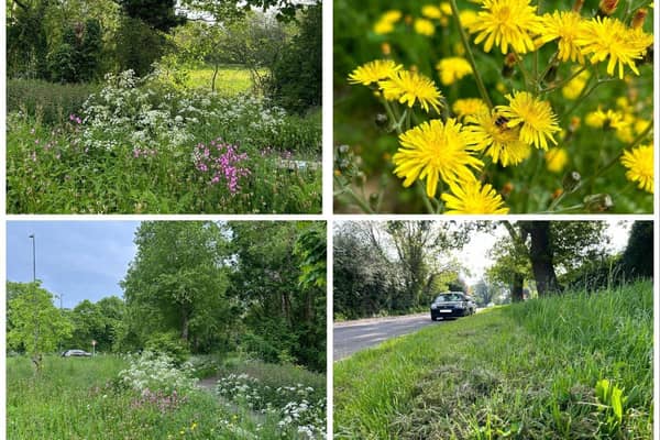 Photos from last year's Now Mow May scheme. Photos supplied by Warwick District Council