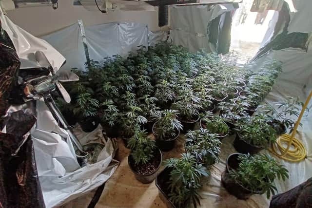 A cannabis factory discovered in Kenilworth could have put others in danger due to the dodgy wiring inside.